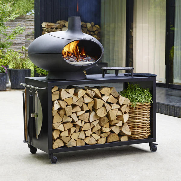 The Best Ovens and BBQ Grills for my Summer Party